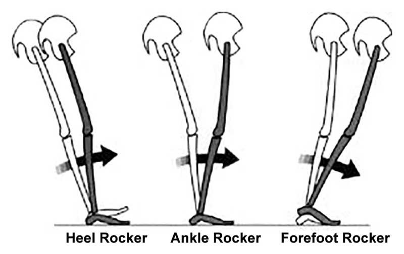 Heel Ankle Forefoot Rocker