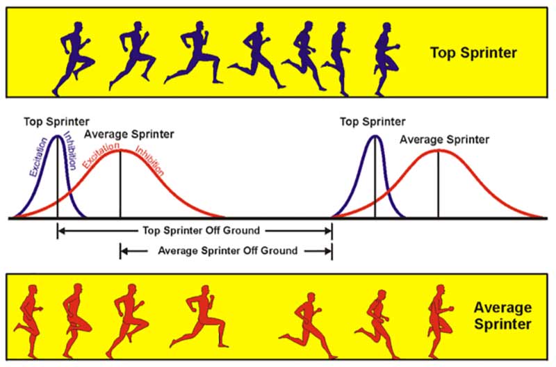 Rate of Force Development Stride Contacts