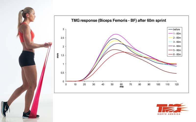 TMG Muscle Fatigue Monitoring