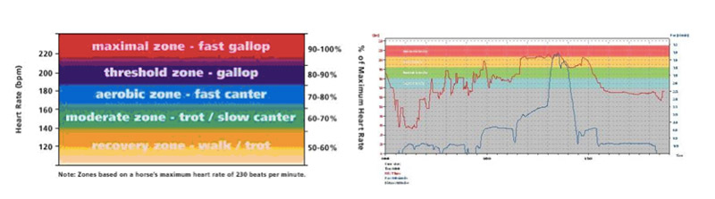 GPS Accelerometer