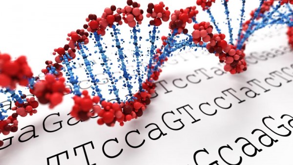 DNA Sequence