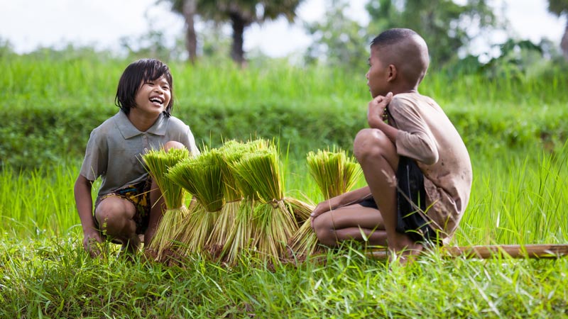 Boy and girl in rice field