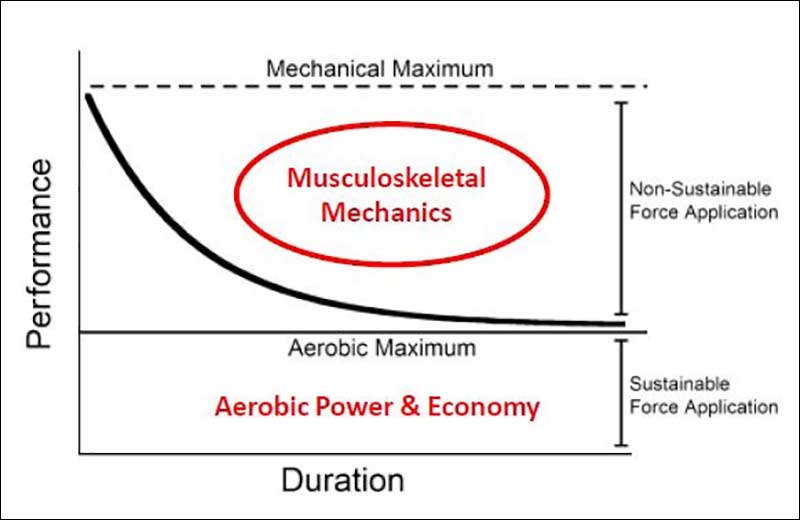 Performance versus Duration