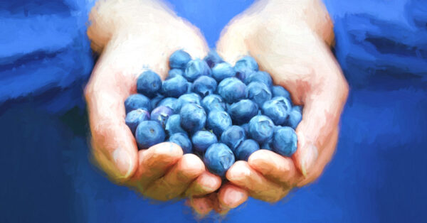 Antioxidant Blueberries