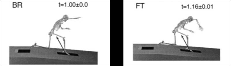 Baseball Force Plates