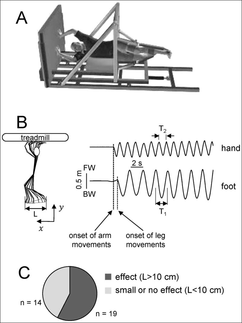 Overhead Treadmill